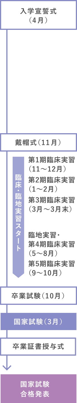 入学宣誓式(4月)、戴帽式(11月)、卒業試験(10月)、国家試験(3月)、卒業証書授与式、国家試験合格発表